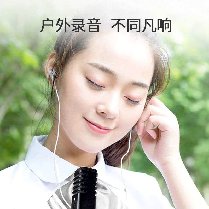得胜(TAKSTAR)PH120全民K歌手机麦克风专用内置声卡苹果安卓电脑直播通用设备音响一体话筒图片