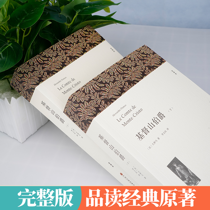 正版基督山伯爵原版大仲马的书籍原版书上下册套装无删减长篇小说基度