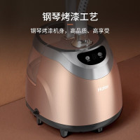 海尔(Haier)挂烫机HGS-2510B 香槟金 家用蒸汽电熨斗 大功率小型立式手持 迷你熨烫衣服