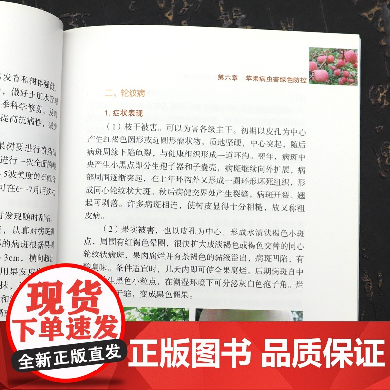 苹果提质增效栽培与病虫害绿色防控苹果树种植栽培技术书苹果树修剪技术书果树嫁接技术图解书苹果树合理整形修剪图解苹果树管理书高清大图