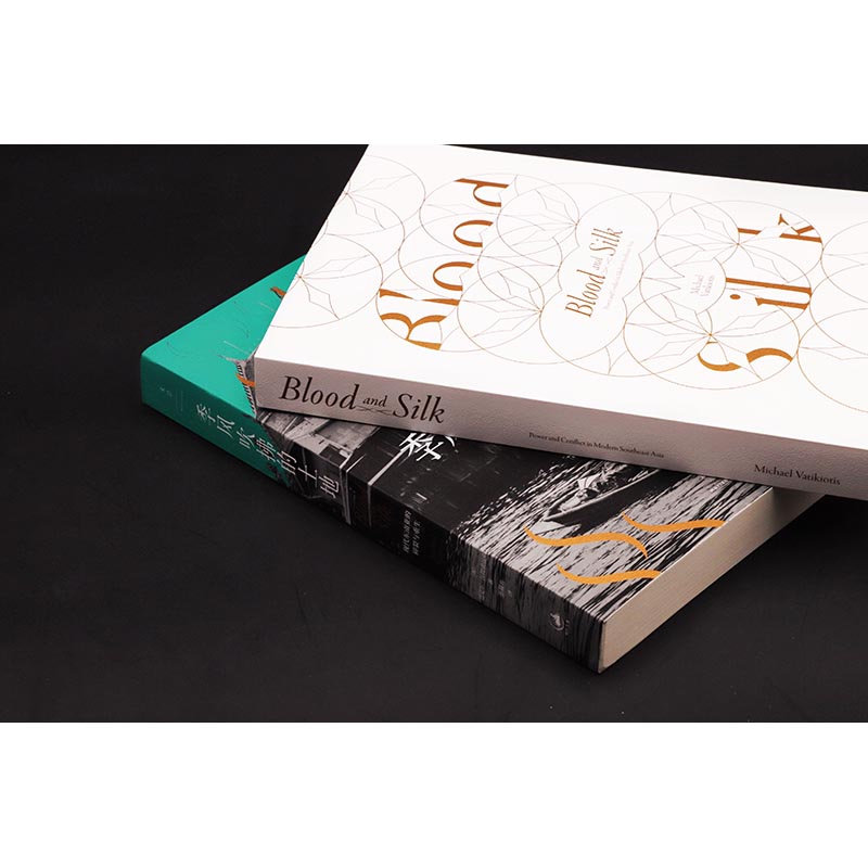 [正版]季风吹拂的土地 : 现代东南亚的碎裂与重生高清大图