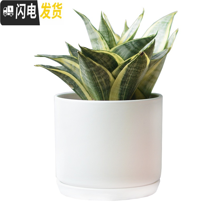 三维工匠北欧简约花盆陶瓷大号带托盘白色绿萝盆栽室内多肉盆 梯形哑光神秘绿 大花盆容器