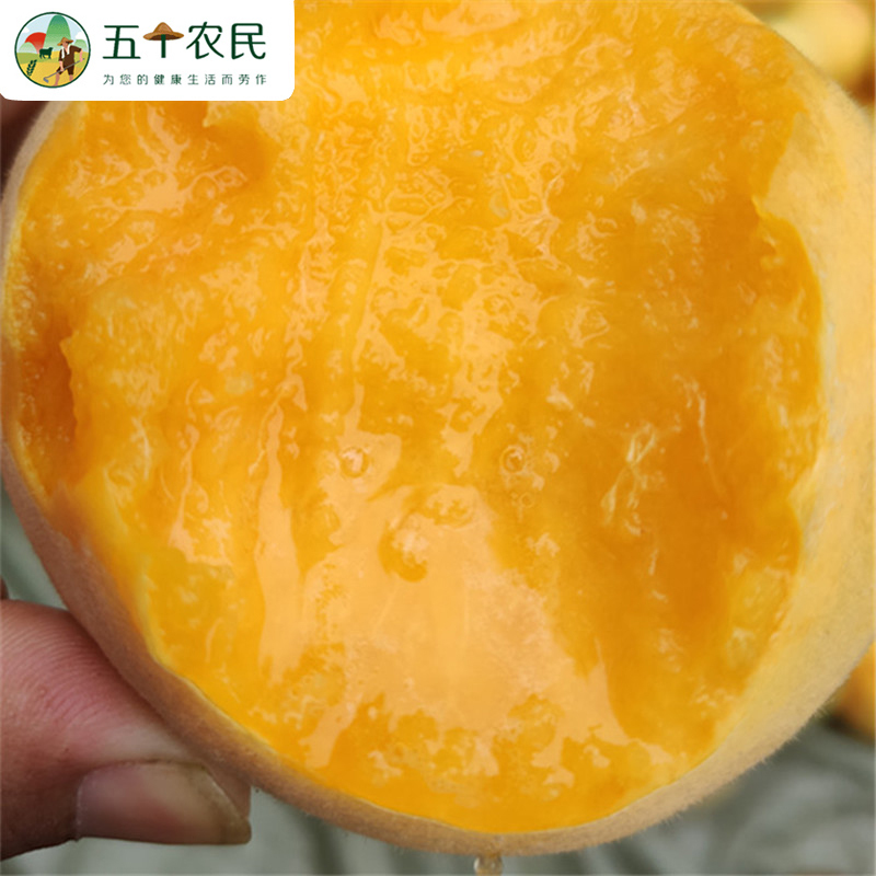 [五个农民]山东蒙阴金秋红蜜桃4.5斤精品果(8-12个装)桃子毛桃应季新鲜水果