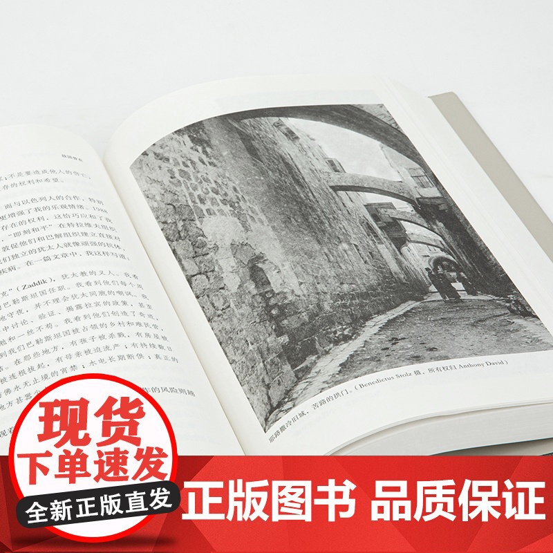 理想国译丛067:故国曾在:我的巴勒斯坦人生 全面思考巴以困局路在何方 巴以冲突 巴勒斯坦阿拉伯人 以色列 理想国图书店高清大图