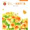 正版新书]花儿.一簇簇开了图画书樊发稼.9787500796299
