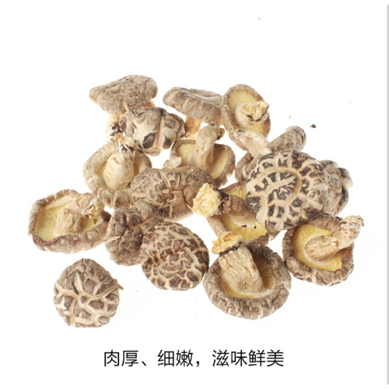 德宝盆雪原花菇(有机花菇)