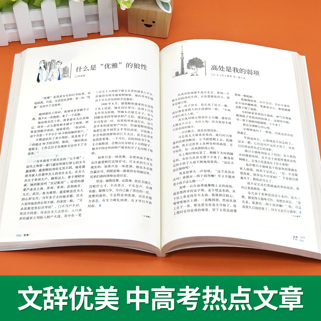 意林18周年纪念书C [正版]2023年意林18周年纪念书ABCD 意林少年版纪念版杂志读者35十八周年中考版高考版初中高清大图