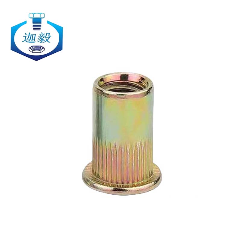 迦毅平头拉铆螺母M12个