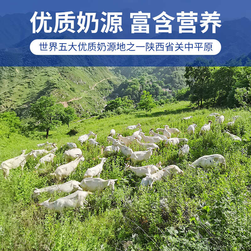 卓牧(JOMILK)纯羊奶精选山羊奶儿童早餐A2蛋白200ml*6送礼佳选高清大图