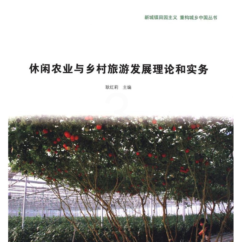 [正版]休闲农业与乡村旅游和实务耿红莉观光农业研究中国 书旅游地图书籍高清大图
