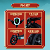 新日(Sunra)电动车48V新国标电动自行车锂电成人小型电瓶车男女时尚代步滑板车 XLB 艾绿/油光黑[铅酸版]