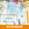 同步作文上册+字帖+同步作文阶梯训练上册-3本套 小学二年级 [正版]2024小学生同步作文三年级上册一年级二年级3四4