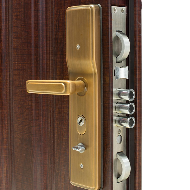 盼盼防盗门62花高清大图