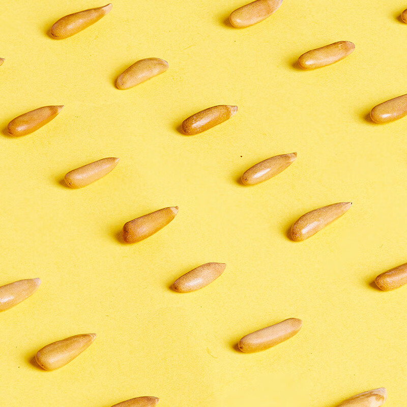 臻味 巴西松子260g/罐高清大图