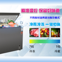 华美(Huamei)BC/BD-220升商用玻璃嵌入式冰柜 卧式冷柜 冷藏冷冻转换展示柜 卧式顶开冰柜