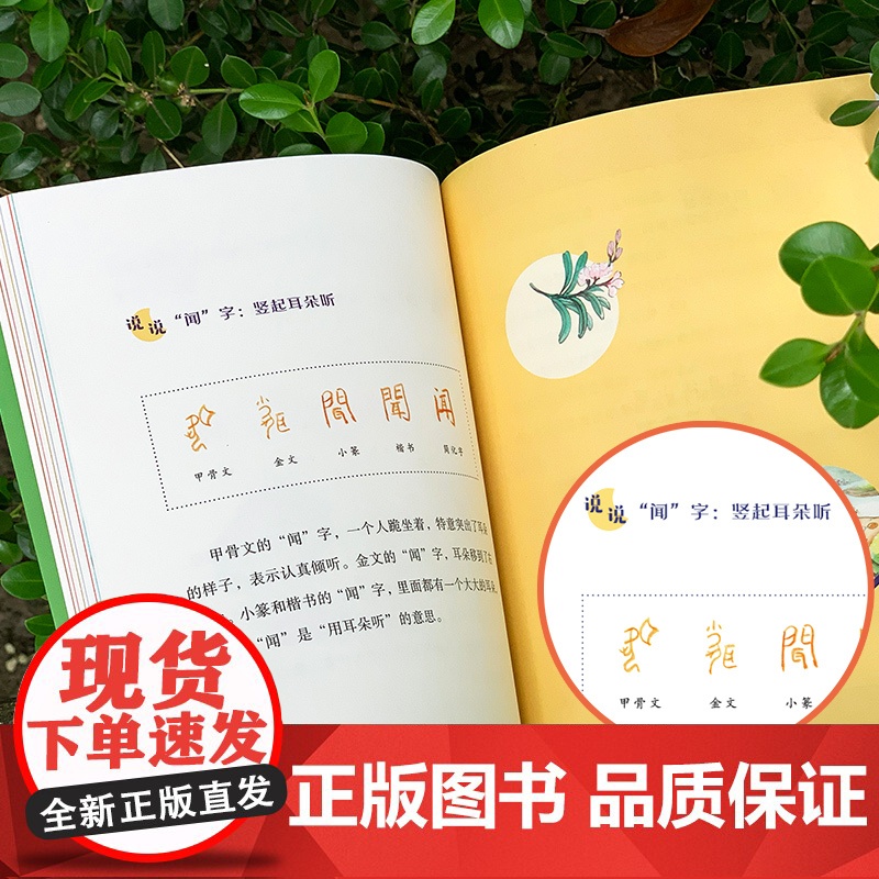 明月来相照 古诗原来可以这样学系列全套3册 新月篇弦月篇满月篇朱爱朝小学一二三四五六年级小学课本古诗词 人民文学出版社高清大图