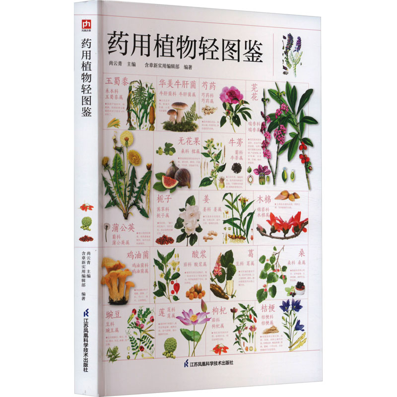 [M]药用植物轻图鉴-9787571334871高清大图