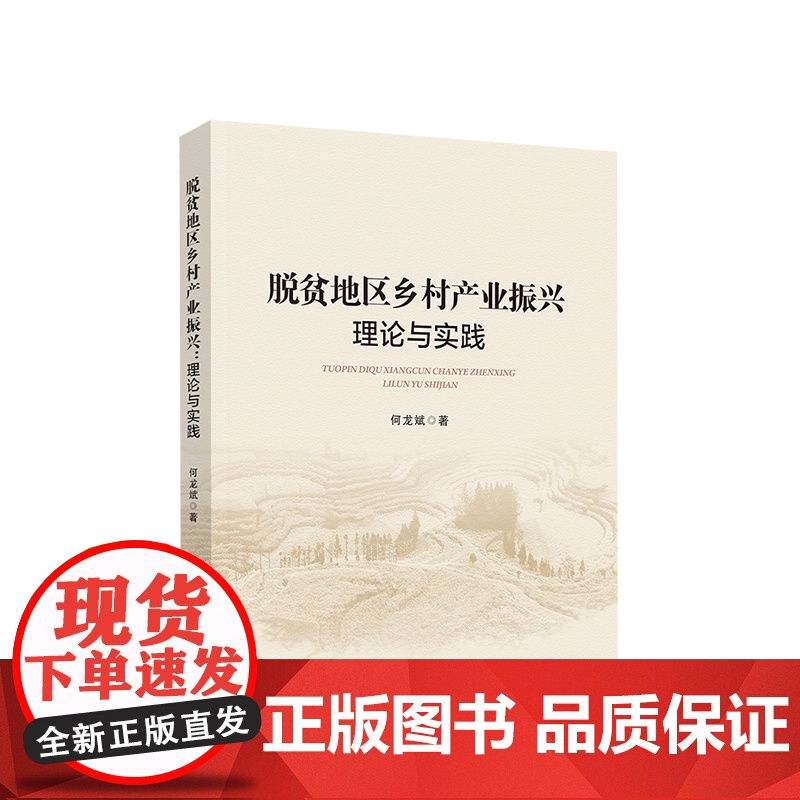 脱贫地区乡村产业振兴:理论与实践 何龙斌著 人民出版社高清大图