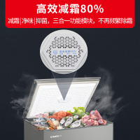 星星(XINGX)145升家用冰柜小型冷藏柜果蔬保鲜柜速冻冰箱冷藏冷冻转换冷柜 BD/BC-145BKV