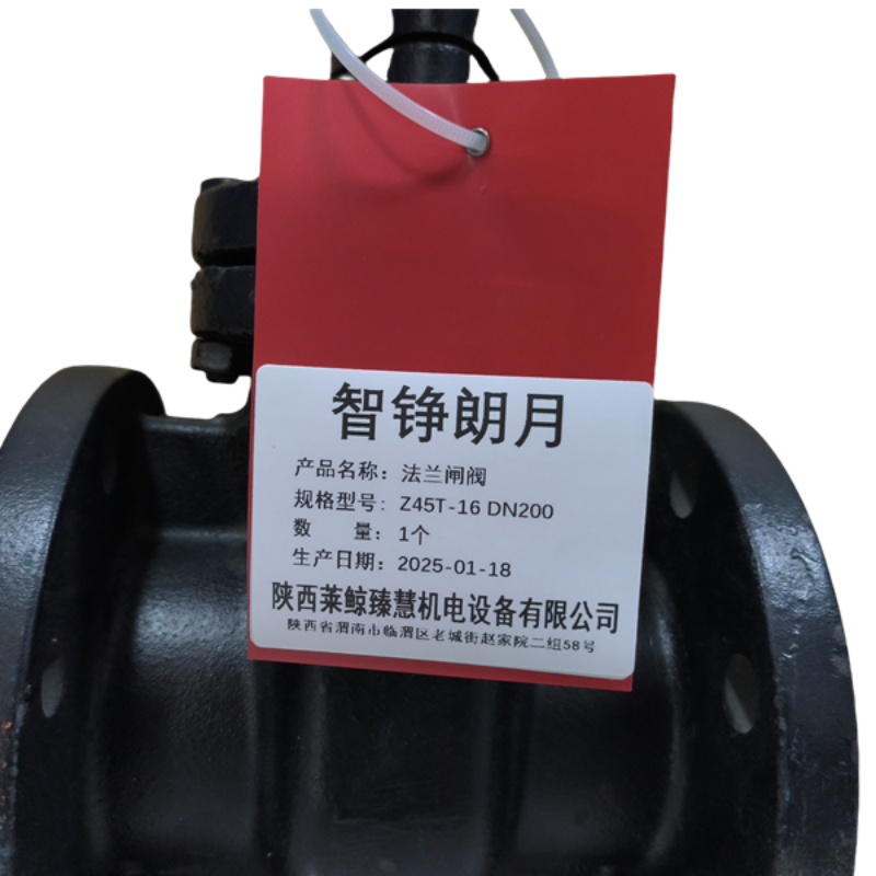 智铮朗月 法兰闸阀 Z45T-16 DN200 个高清大图
