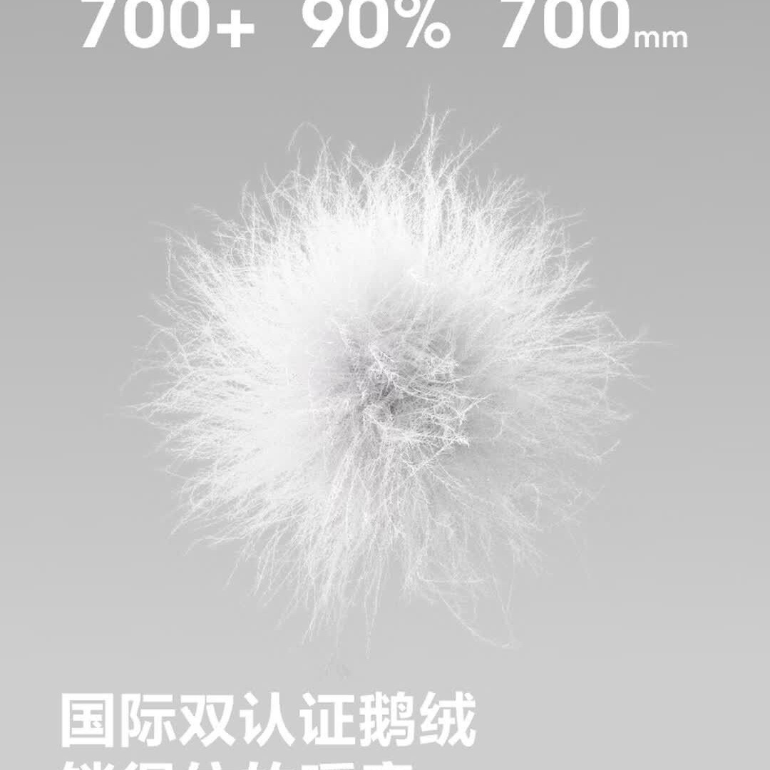 波司登(BOSIDENG)[鹅绒排骨条]新款时尚轻薄羽绒服女立领微收腰B260135074 黑色8056 尺码165高清大图