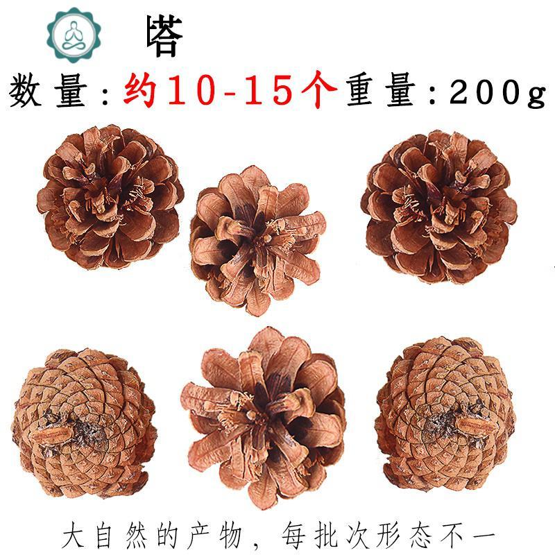 幼儿园环创干树枝松塔手工diy创意原料 封后 油松塔200g10-15个左右 干花包