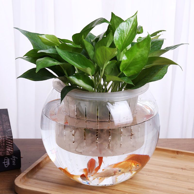 缸) 创意玻璃鱼缸圆形生态水族箱大号乌龟缸金鱼小型桌面造景水培花瓶