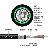 博扬（BOYANG）BY-GYTA53-48B1.3重铠地埋48芯单模室外光缆GYTA53层绞式直埋光纤2000米/轴办