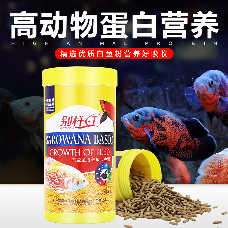 地图鱼罗汉鱼食银龙鱼饲料大型鱼混养血鹦鹉鱼发财鱼元宝鱼鱼高清大图