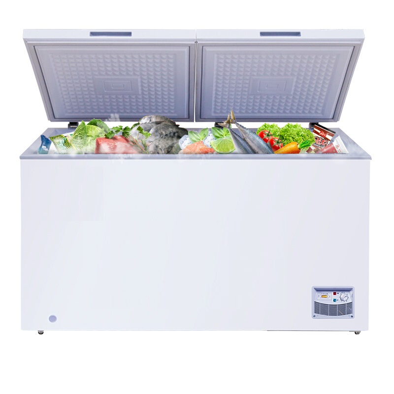 商用冷柜 卧式大冷冻柜 冰柜