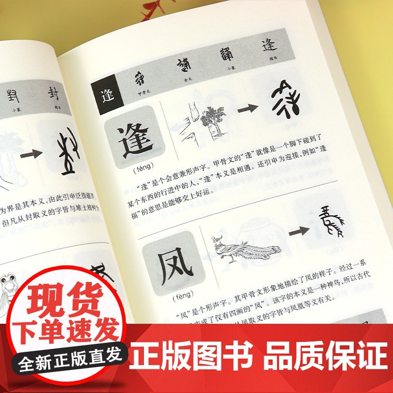 说文解字详解正版 给孩子的汉字王国许慎著 象形文字演变书图解 中小学生版注音版 古代汉语字典 儿童读物课外书学习画说部首高清大图