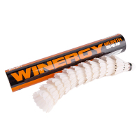 威耐尔(Winergy)耐打王鸭毛羽毛球201比赛训练羽毛球 12只装 77速