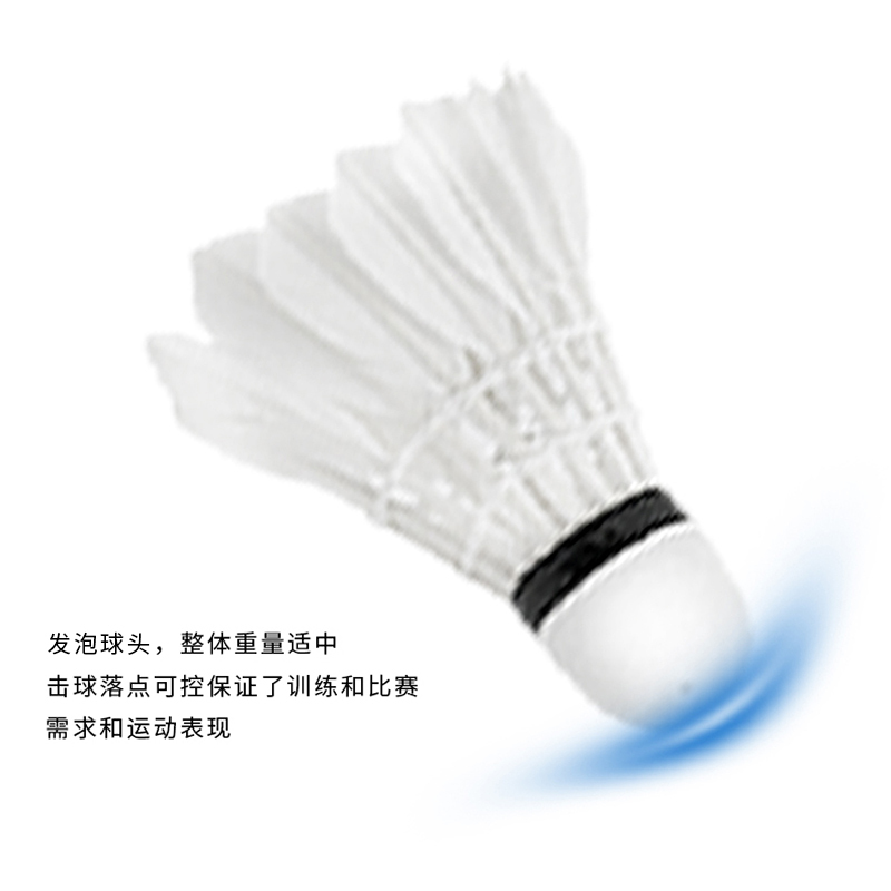 强力(QIANGLI) 筒装羽毛球鸭毛持久稳定耐打室内室外通用训练球