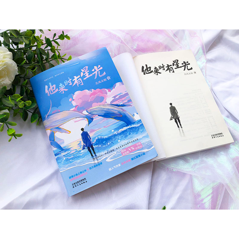 醉染图书他来时有星光9787201156484高清大图