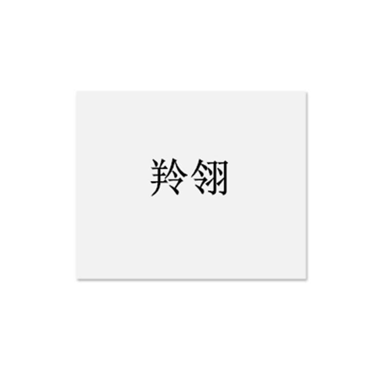 羚翎 80×80mm 标签(计价单位:个)白色 白色