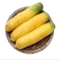 湛航 黄萝卜胡萝卜当季新鲜蔬菜手抓饭水果萝卜整箱批发