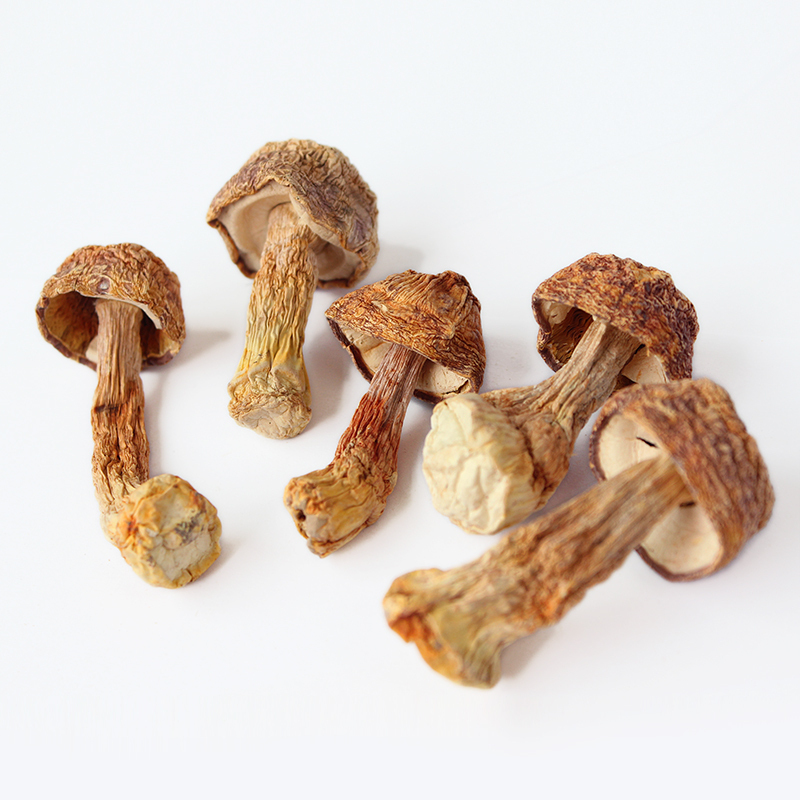 禾煜甄选姬松茸 80g