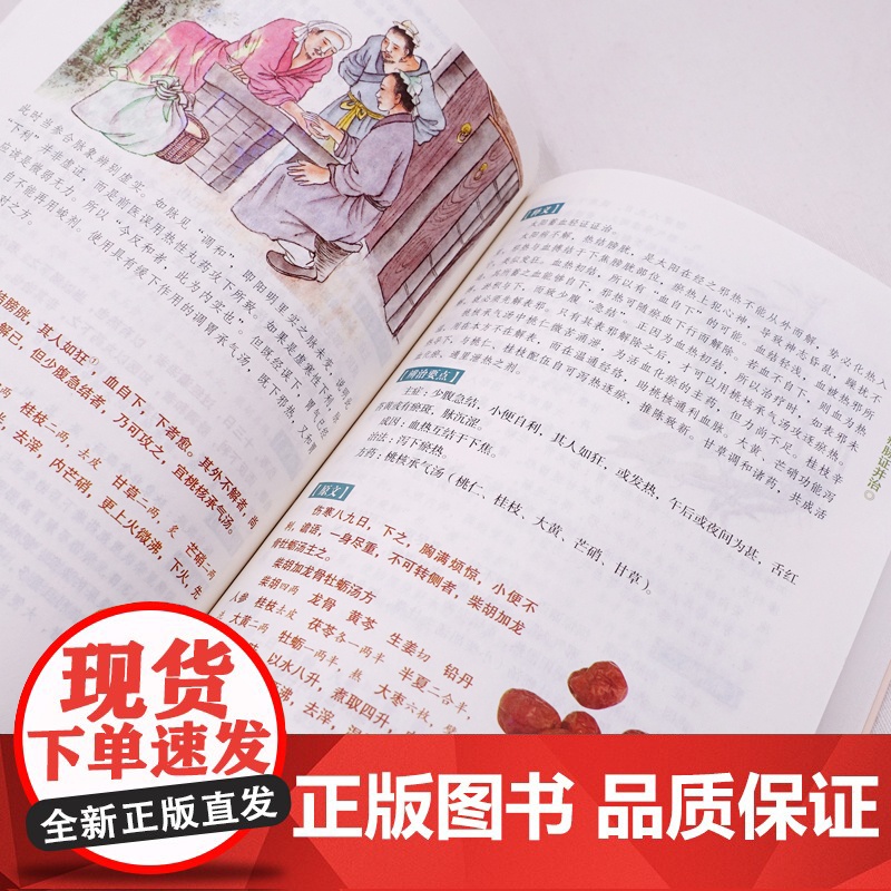 伤寒论正版张仲景原著全集彩色图解伤寒杂病论白话文 中医养生书籍大全医学全书 中医临床知识自学入门零基础学中医古籍出版社高清大图