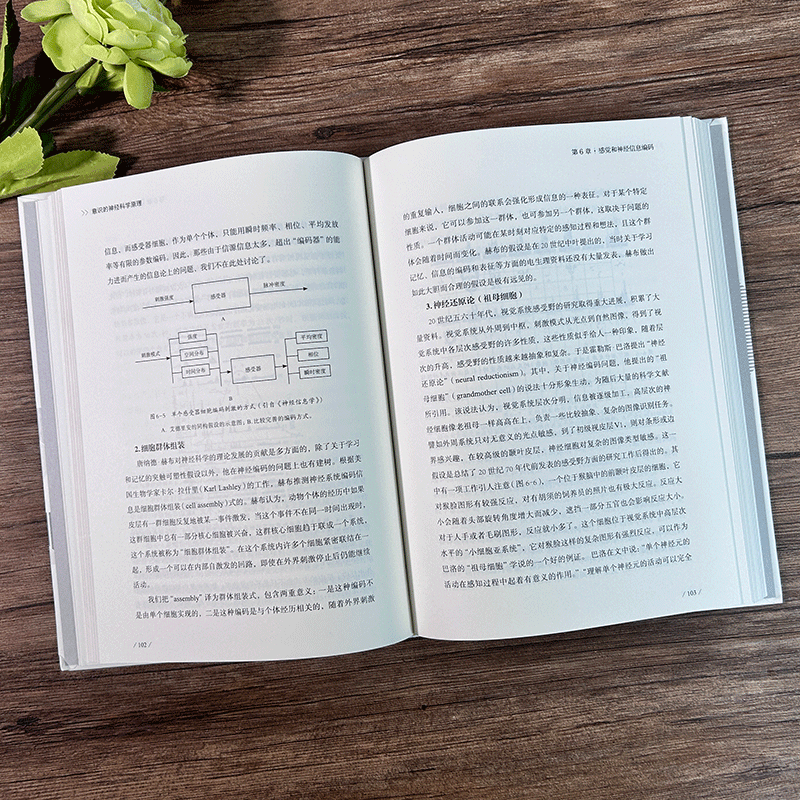 [正版]意识的神经科学原理 脑科学与神经科学研究理论入门参考书 青少年成人神经科学意识问题研究入门教学指导用书自然科学高清大图