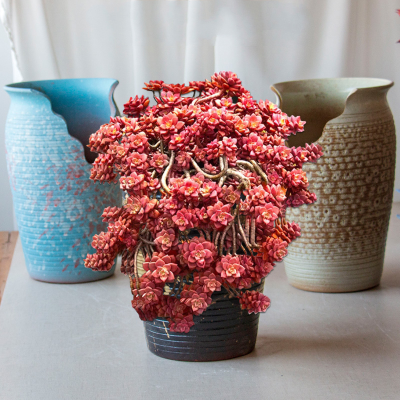 特大缺口造型瘦高多肉花盆粗陶切口陶瓷多肉植物陶罐法师悬崖老桩