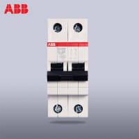 [ABB官方旗舰店]ABB小型断路器双进双出空气开关2P32A双极空开开关SH202-C32