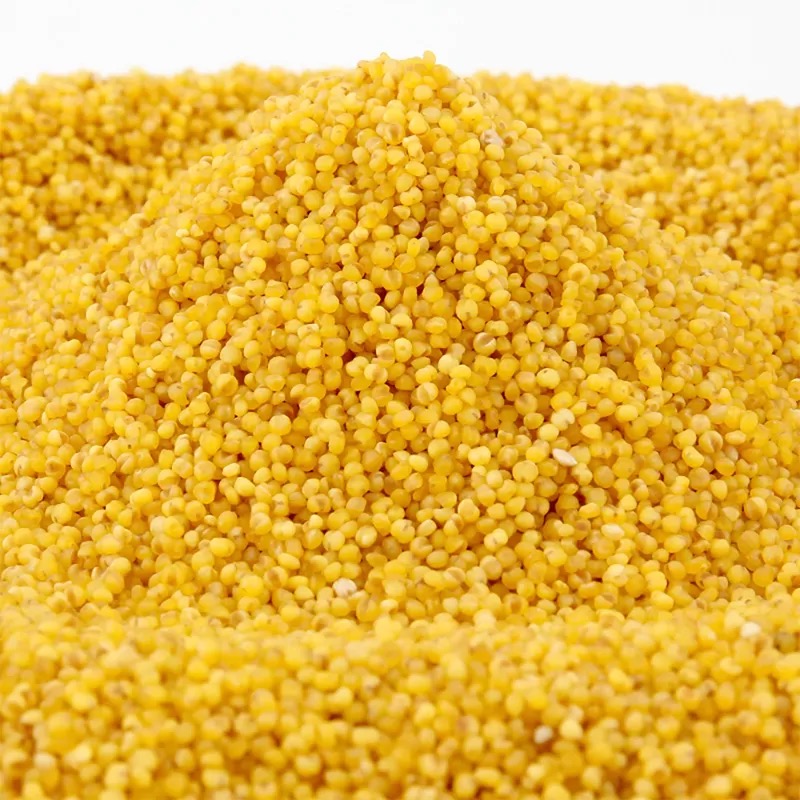 艾提尕小米5kg/袋高清大图