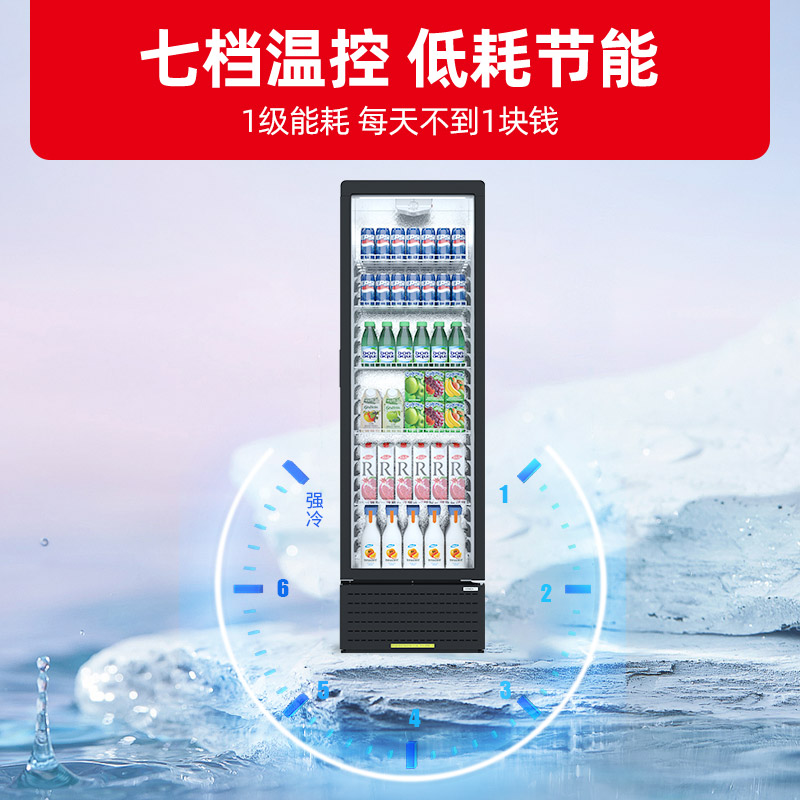 星星(XINGX)LSC-360YPE 362升 冷藏展示柜 立式冰柜 保鲜柜 饮料柜 商用展示柜高清大图