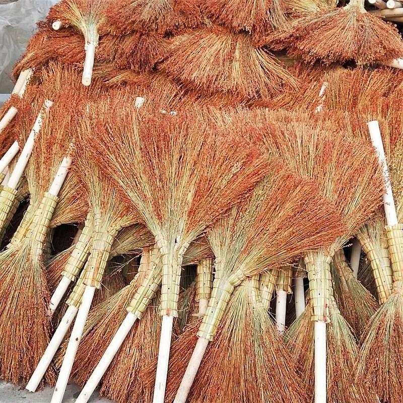 笤帚高粱笤帚清洁扫把宿舍家用扫把