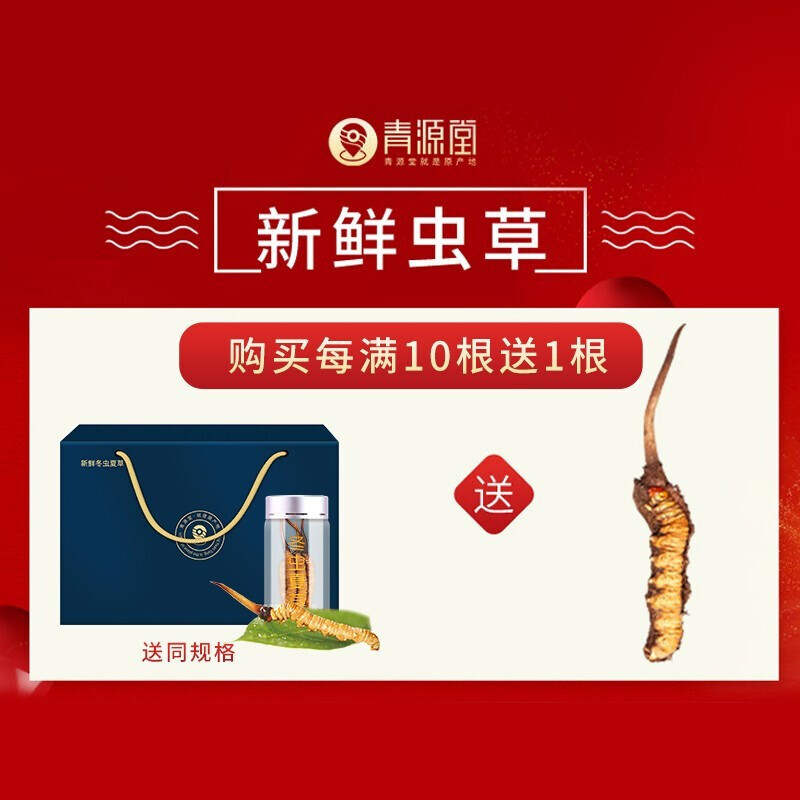 青源堂 冬虫夏草0.7克/条 10条装7克 新鲜冬虫夏草正品 可泡酒泡水