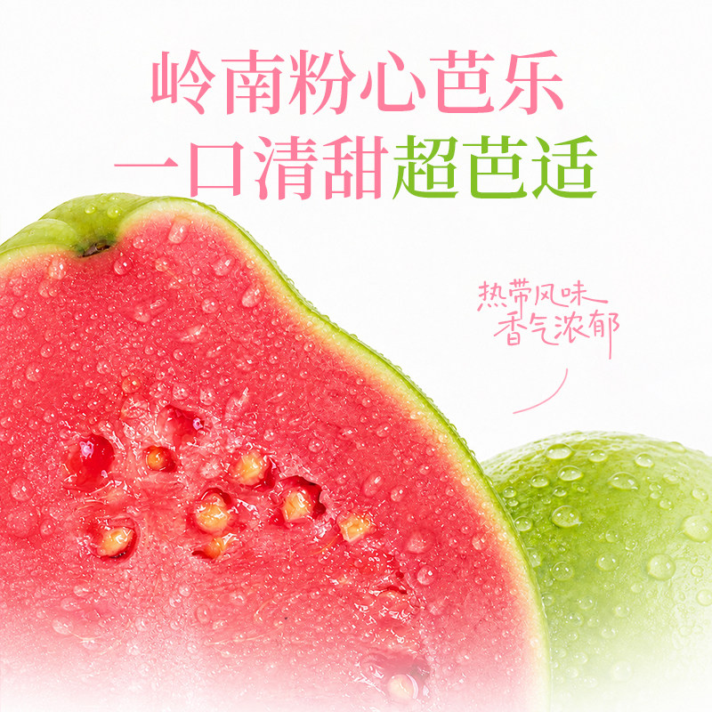 轻上纤冠军粉芭乐高钾椰子水500ml*10瓶整箱 0脂低糖高钾补电解质复合果汁饮品高清大图