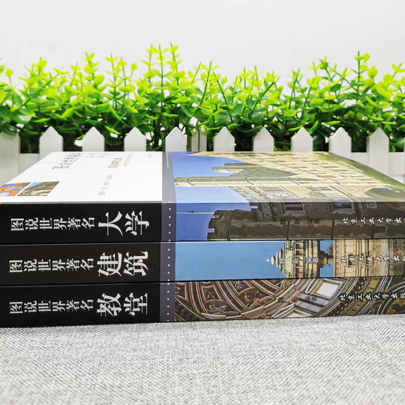 [正版]3册图说世界著名教堂建筑大学全球有代表性的各式经典伟大的建筑教堂建筑的概况结构特点特色和功能揭秘中外名建筑书籍高清大图