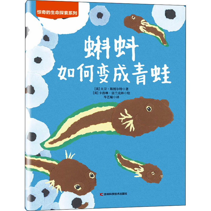 醉染图书蝌蚪如何变成青蛙9787557880873高清大图