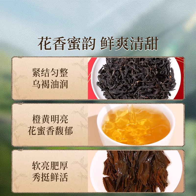 [元正](新版)千秋礼盒 红茶特级正宗武夷山小种红茶罐装武夷红茶茶叶 1盒 300g/盒高清大图