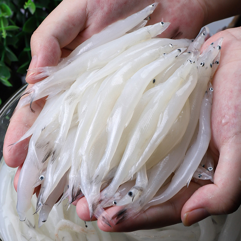 大银鱼250g海鱼生鲜鱼类大银鱼250g盒